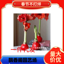 ��피tϞ���ذ�N���M��Ϟ��o��ˮ���B�o���˺��B������Y��