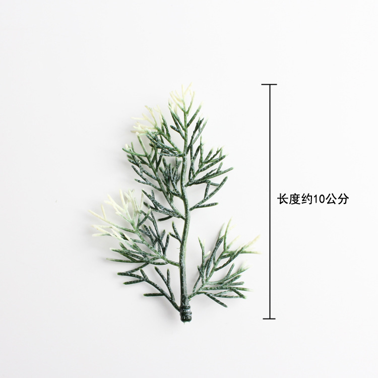 가을 tw-4