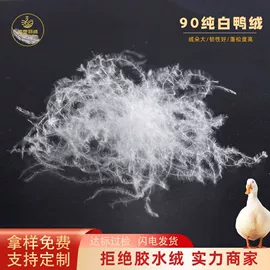 羽毛、羽绒