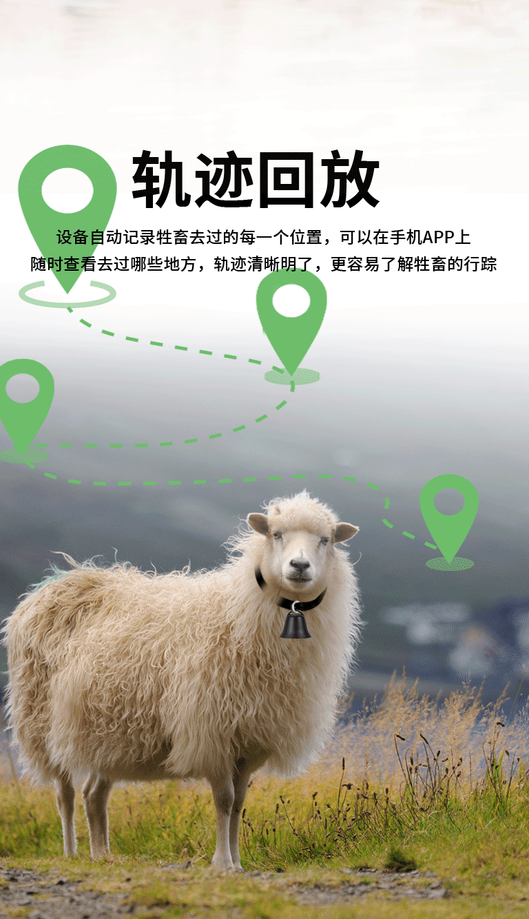 Q6 Cow and Sheep Collar-Mounted Tracking Device for Pasture and Grassland, Waterproof Gps Beidou Wifi Multi-Mode Locator