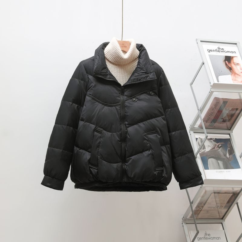 Off-Season New Loose Casual down Jacket for Women, Short Stylish Fashion Stand Collar Thickened Two-Button Elegant Coat