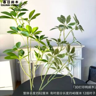 �����֧���_ľ�Gֲ�쾰���~����٘��Ĕz���c�lؔ��ɭϵ���@��