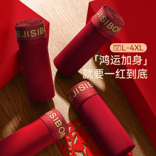 红色内裤喜庆吉祥10A抗菌底档男士内裤纯棉舒适透气新年款红内裤