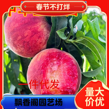 һ�����l���AѪ�����ش�������޽��Ҙ���ˮ�����������ϱ����Nֲ