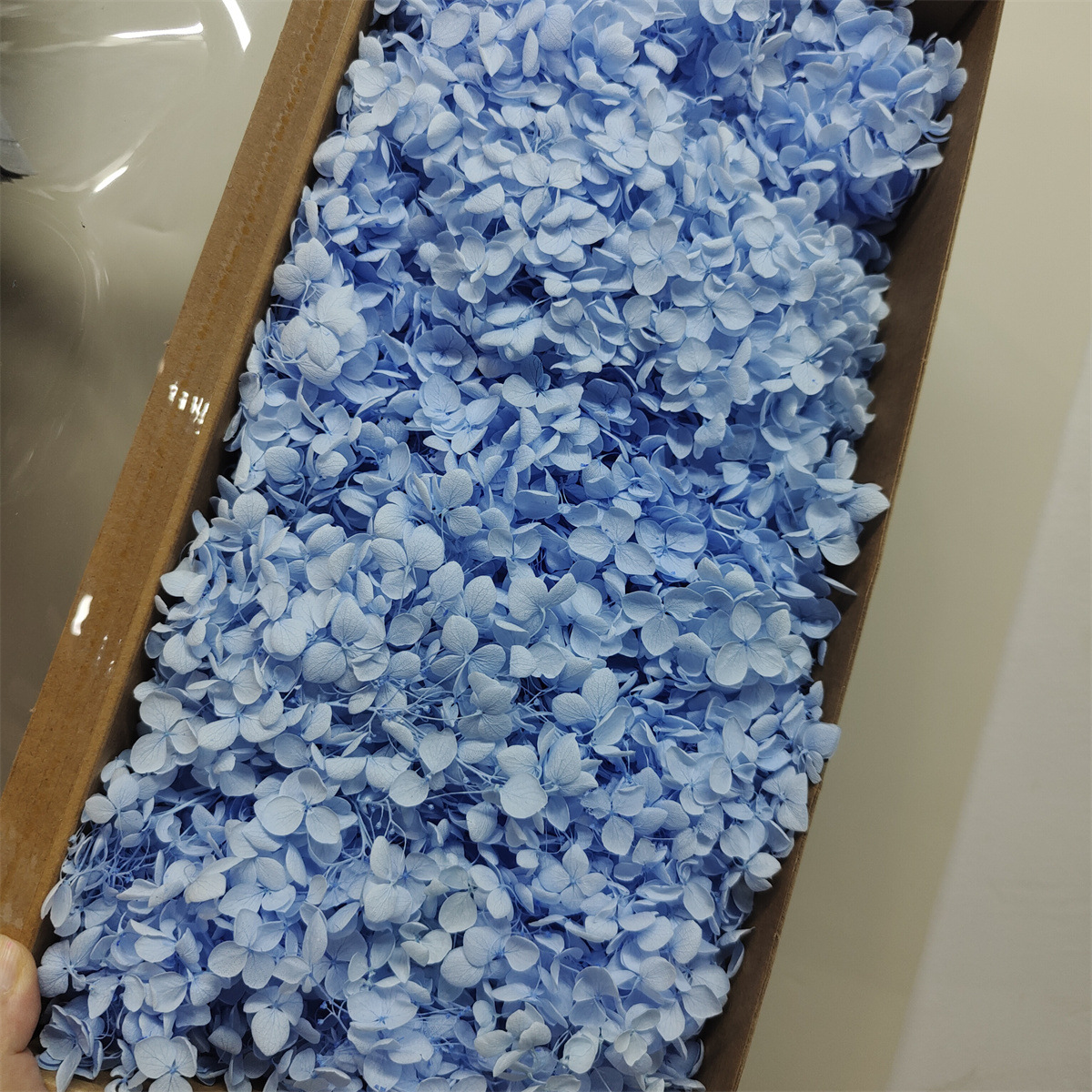 Flor eterna Hortensia Anna pequeña hoja flor seca flor real árbol de Navidad ventilador hecho a mano ramo DIY material paquete flor