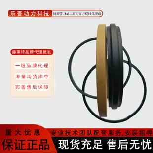 Ӣ��Hallite����H735T���ķ��ܷ�ȦCT�͸ߜ��S�ýM�����D�ܷ�Ȧ