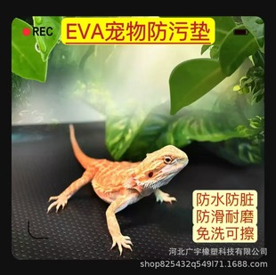 Cross-Border Eva Reptile Box Mat Waterproof Non-Slip Anti-Scratch Bite Reptile Waterproof Bottom Mat Thickened Lizard Snake Frog Tank Mat