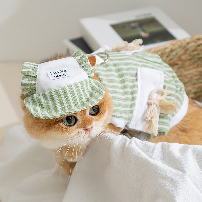 Gato Primavera Verano Simple Chaleco de princesa a rayas Sombrero Gato sin pelo Gato joven Perro Pet Ropa para gatos