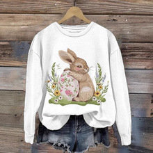 �羵�¿�Ů�Ը��Ÿ��������Easter Bunny  3D ӡ���˶���  ����