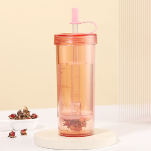 Double-layer heat insulation tea straw cup for school season large capacity 500ml tea separation portable transparent portable cup