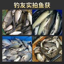 ���͒��ͷ����h�P�h�D�Ͽ���~�ϱ�ը�h���K����D�C�ό����~�D�