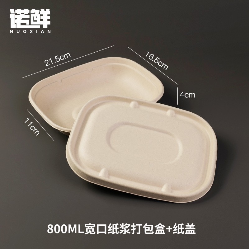 Caja de embalaje de frutas, caja de comidas desechable, viaje de primavera, picnic, camping, comida ligera, arroz cortado, doble división al aire libre