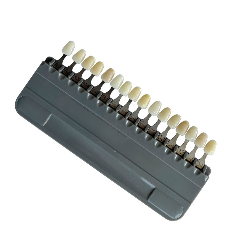 Materiales orales dentales transfronterizos Placa de comparación de colores de 16 colores Placa de comparación de colores de dientes Placa de comparación de colores de resina Placa de comparación de colores al por mayor