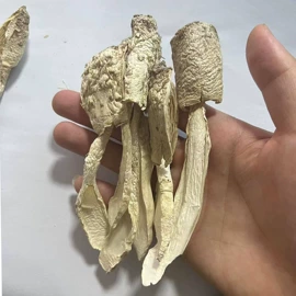 其他干货;银耳;姬松茸