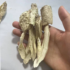 Гутские куриные ноги грибы сухие товары новые куриные ноги грибы оптом