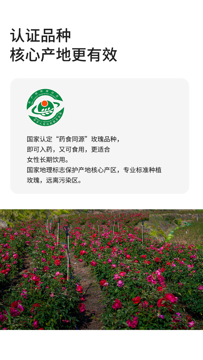Rose Bud Tea Mei Gui Hua 玫瑰花冠 Dried Rose Flower Buds 60g Canister Herbal Infusion specifications