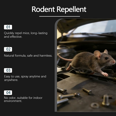 Home Use, Safe and – Other Automotive Safety Supplies