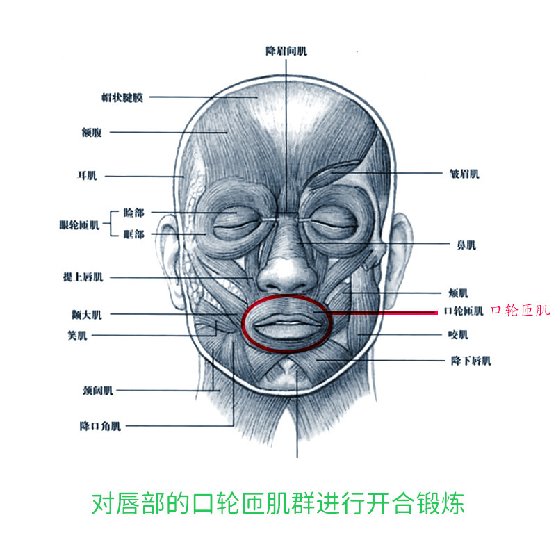 児童成人唇筋訓練器張品呼吸矯正|undefined
