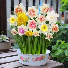 ����Ʒ�����ذ���ˮ�ɻ��N��ˮ���ļ��_�������ͺ�ֲ���҃Ȼ���