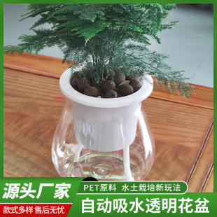 Automatic Water-Absorbing Transparent Flower Pots, Simple and Creative, Suitable for Green Plants, Flowers, Soil-Based Plants, Hydroponic Plastic Flower Pots, Wholesale from Manufacturer