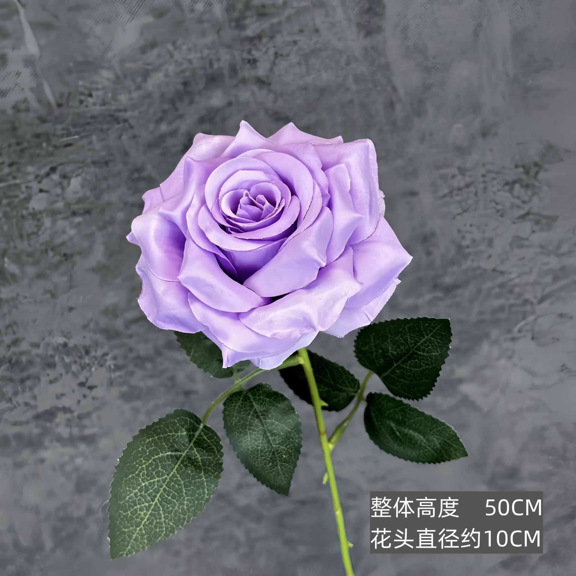 단일 헤드 다이아몬드 로즈 - 라일락 퍼플