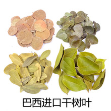 巴西进口天然干树叶森系复古装饰手工标本制作材料diy南美缸枯叶