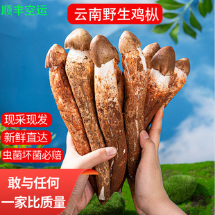 ��Ͼ��xҰ���u�����_�����u����ѹ���֦�����ǰ�ρ�u��ʳ�þ�