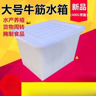 Large Beef Tendon Plastic Water Tank Rectangular Water Tank Thickened Large Beef Tendon Basin Aquaculture Turnover Bubble Tile Bucket