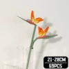 Bird of Paradise E5