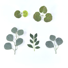 ~ȼ~P~ֲٗlGֲb쾰ٷ滨