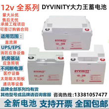 DYVINITY12V100A65A38A24A17AHֱUPSEPS