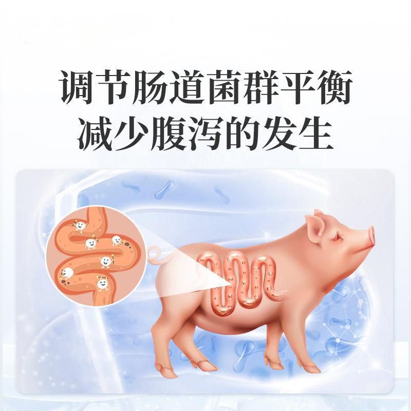 微信图片_20250223102432