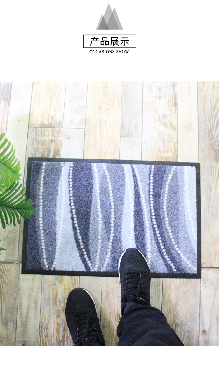 艾菲亚尼龙橡胶地垫进门家用副本_08.jpg