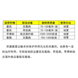 Fumei Shihuochi -Pyramid Grape Grey Grey Mildo Middem Becory