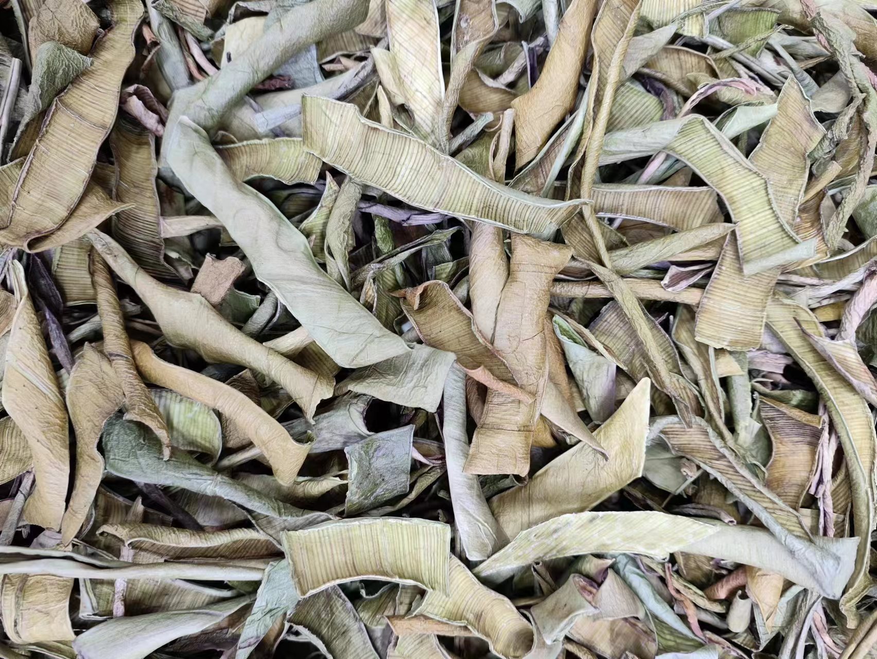 Aloe Peel (Aloe vera) — Dried Aloe Rind & Shreds, Food-Herb Botanical for Tea & Soaks quality and texture