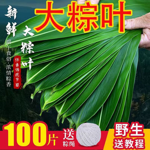 �ش����r���~100Ƭ��ȻҰ�����~�������~�ӷǸ����~���~���~���]