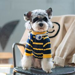夏の抜け毛防止パーソナライズストライプシャツトレンディな薄い中型ペット犬シュナウザー服猫と犬の服