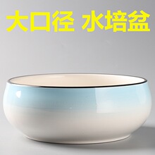 �����մɻ���ˮ��ֲ��˯��ɏ�o���~�X�ݴ�̖���ú��sˮ��