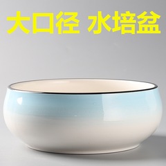 植木鉢セラミック植木鉢水耕植物スリーピングボウル蓮非多孔質銅コイン草大サイズ家庭用シンプルな水仙