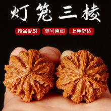 ƴ�Ӻ��Һ����������������\�����o�н��ְѼ��S������