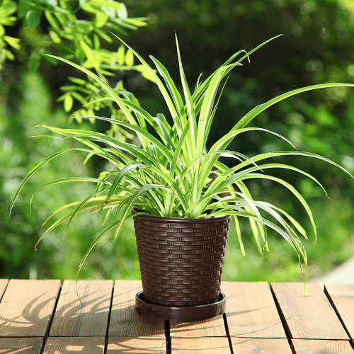 Resin flower pot imitation bamboo plastic flower pot thickened and reinforced simple succulent round indoor balcony pothos small flower pot