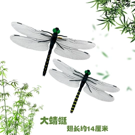 动植物仿真;动物工艺品;恐龙玩具