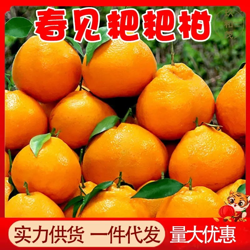 四川春见耙耙柑应当季现摘新鲜水果春见柑橘整箱批发眉山粑粑柑