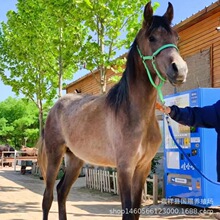 �B�R���ۻ��R �T���R �����T�Ļ��R�ɹ��R.�����RС�R�x