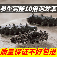 大连淡干海参纯野生辽参刺参500克批发非鲜活即食海参礼盒送长辈
