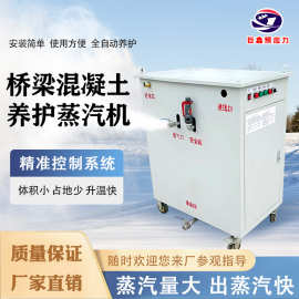 桥梁T梁养护蒸汽机电热蒸养机蒸汽发生器蒸汽锅炉全自动蒸汽锅炉