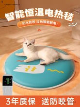 kimpets ����늟�̺������ů؈��a�س��\늟�̺�����ӟ�|ȡů��