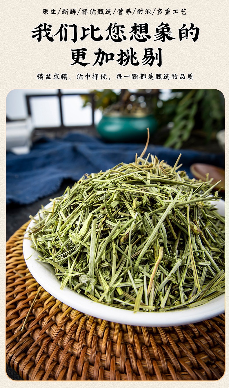 Dried Pine Needle Tea Song Zhen 500g Loose Herbal Tea for Daily Infusions quality and texture