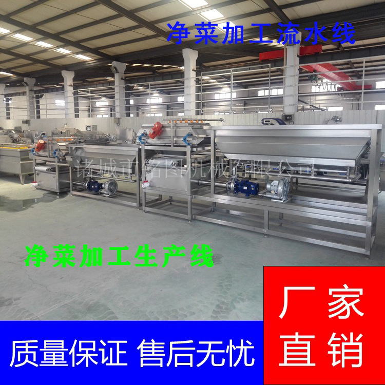 厂家直供 银杏果清洗机 蔬菜消毒清洗机 黄花菜清洗加工设备