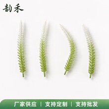 ����ᘷ���Gֲ���PE���~ˮ������ֲ��廨�}�Q�b羳�S�����l